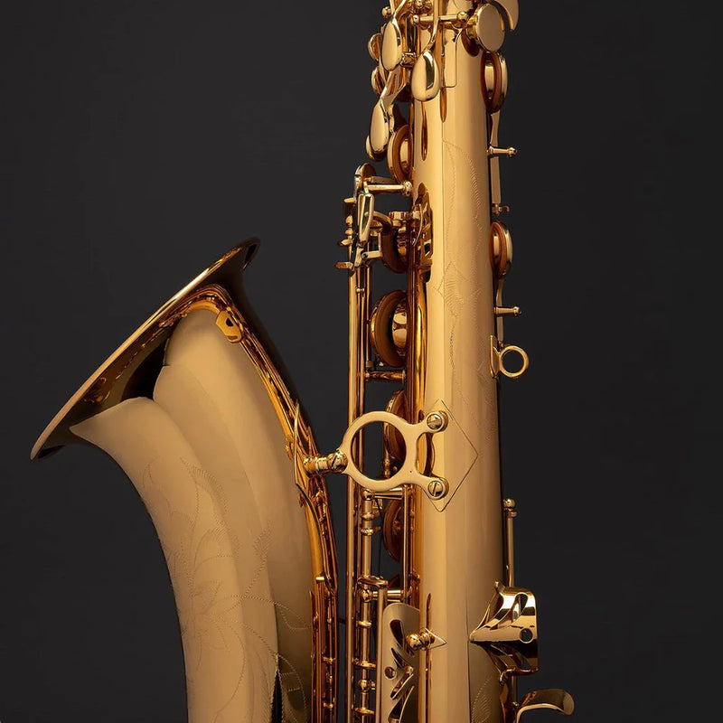 Saxofone Alto Laqueado Top Luxo Dourado | Profissional em Eb (Mib) 🎷